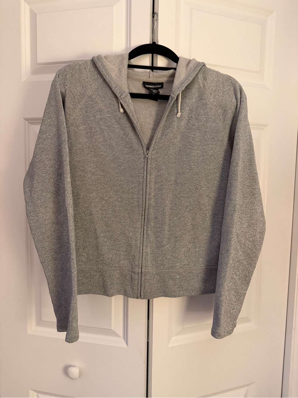 Vintage EXPRESS Silver Shimmer Full-Zip Hoodie